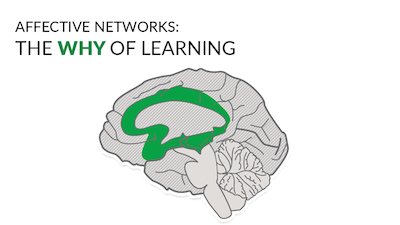 Affective Networks: The Why of Learning