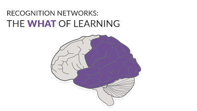 Recognition Networks: The What of Learning